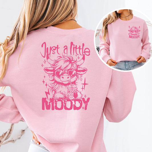 Ultra Cute and Funny Sweatshirt